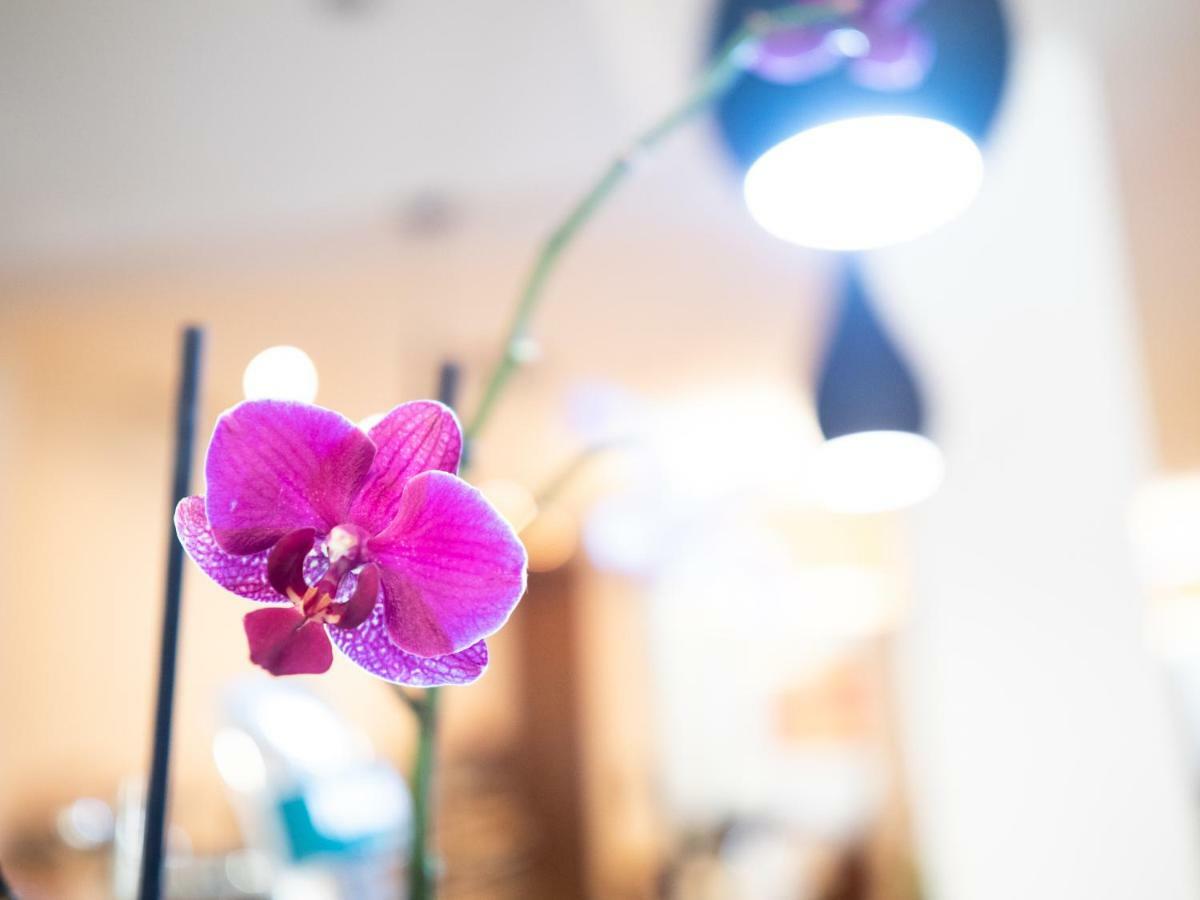 Hotel Quino Guardamar del Segura Zewnętrze zdjęcie